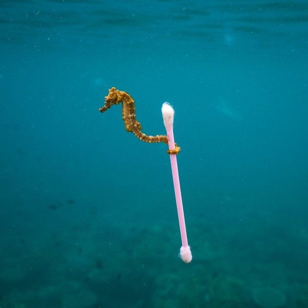 SURFEUR EN EAUX POLLUÉES 