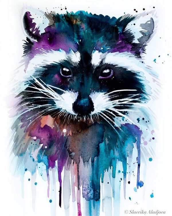 FOR RACCOON LOVER