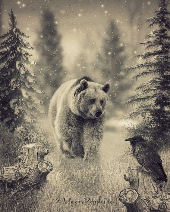 BEAR IN FOREST