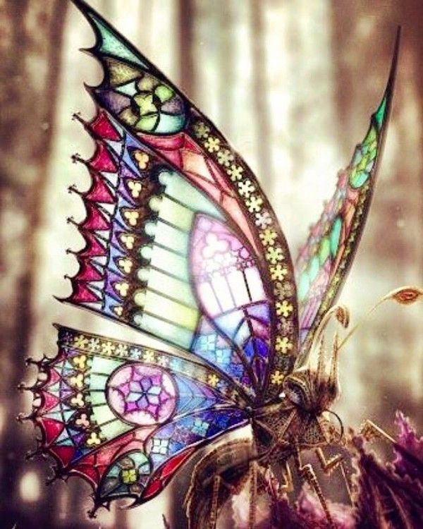papillon vitrail