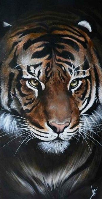 TIGRE