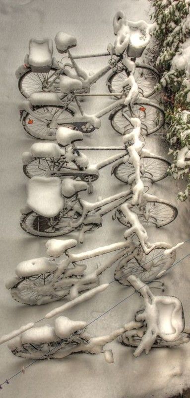BICYCLES IN WINTER