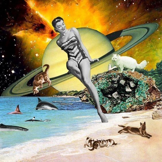 COLLAGE SURREALISTE DE VIRGINIA LOLL